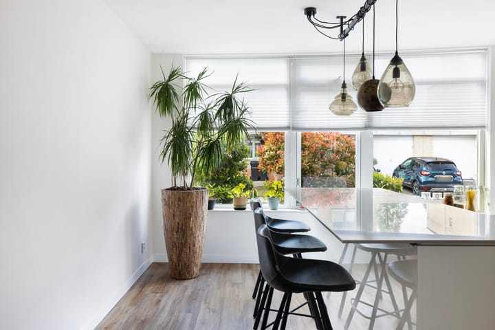 Foto 15 van Palissander 172