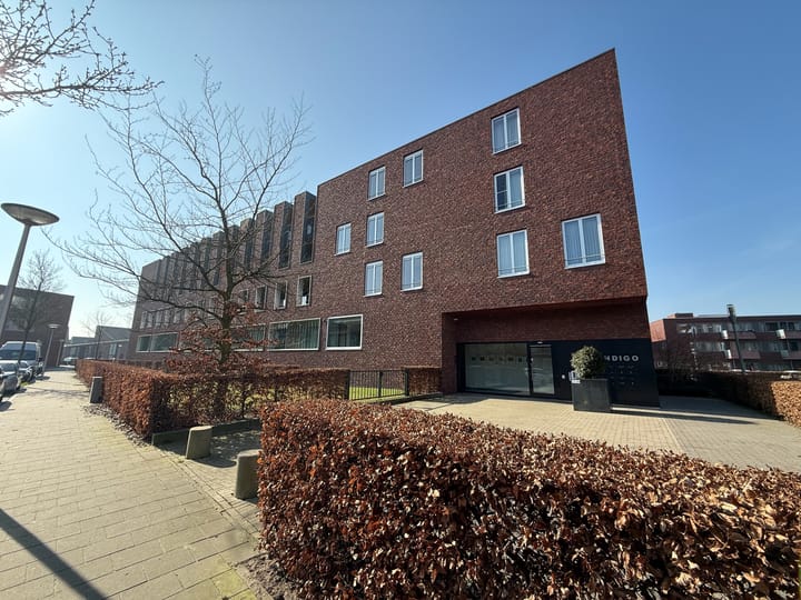 Foto 1 van Paulus Potterstraat 16