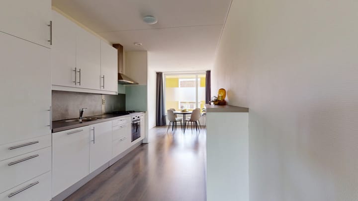 Foto 3 van Paulus Potterstraat 16