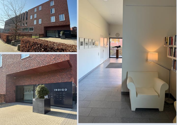 Foto 4 van Paulus Potterstraat 16