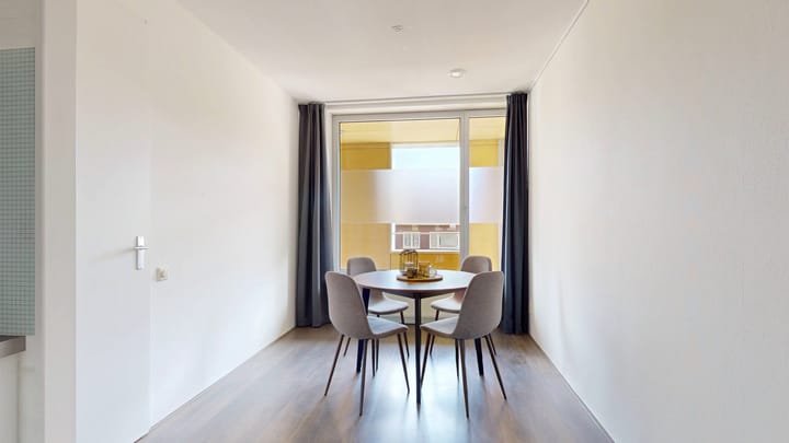 Foto 14 van Paulus Potterstraat 16