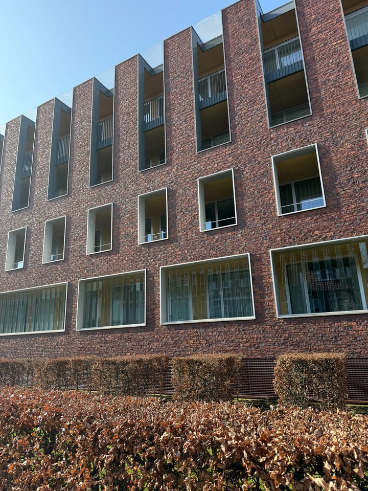 Foto 25 van Paulus Potterstraat 16