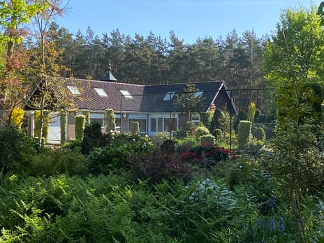 Hazenputten 17 tertiary image