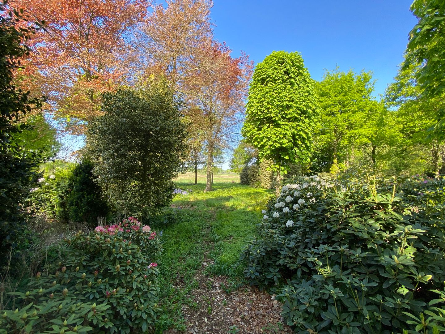 Foto 4 van Hazenputten 17