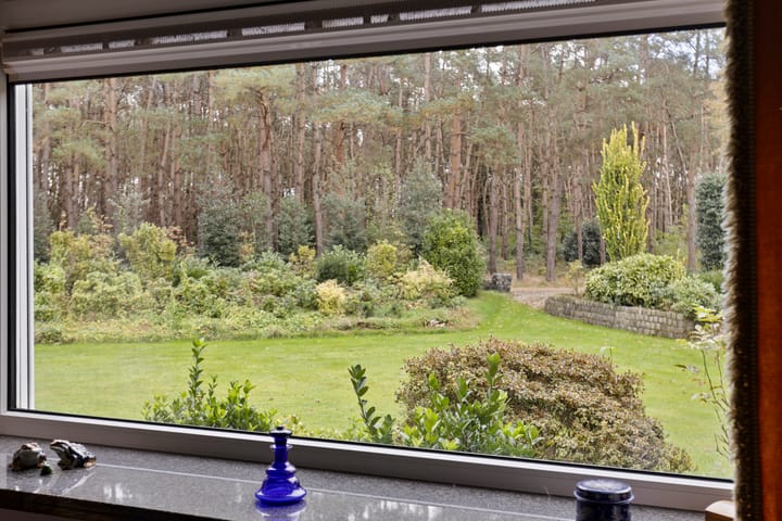 Photo 10 of Hazenputten 17