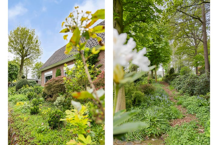 Photo 33 of Hazenputten 17