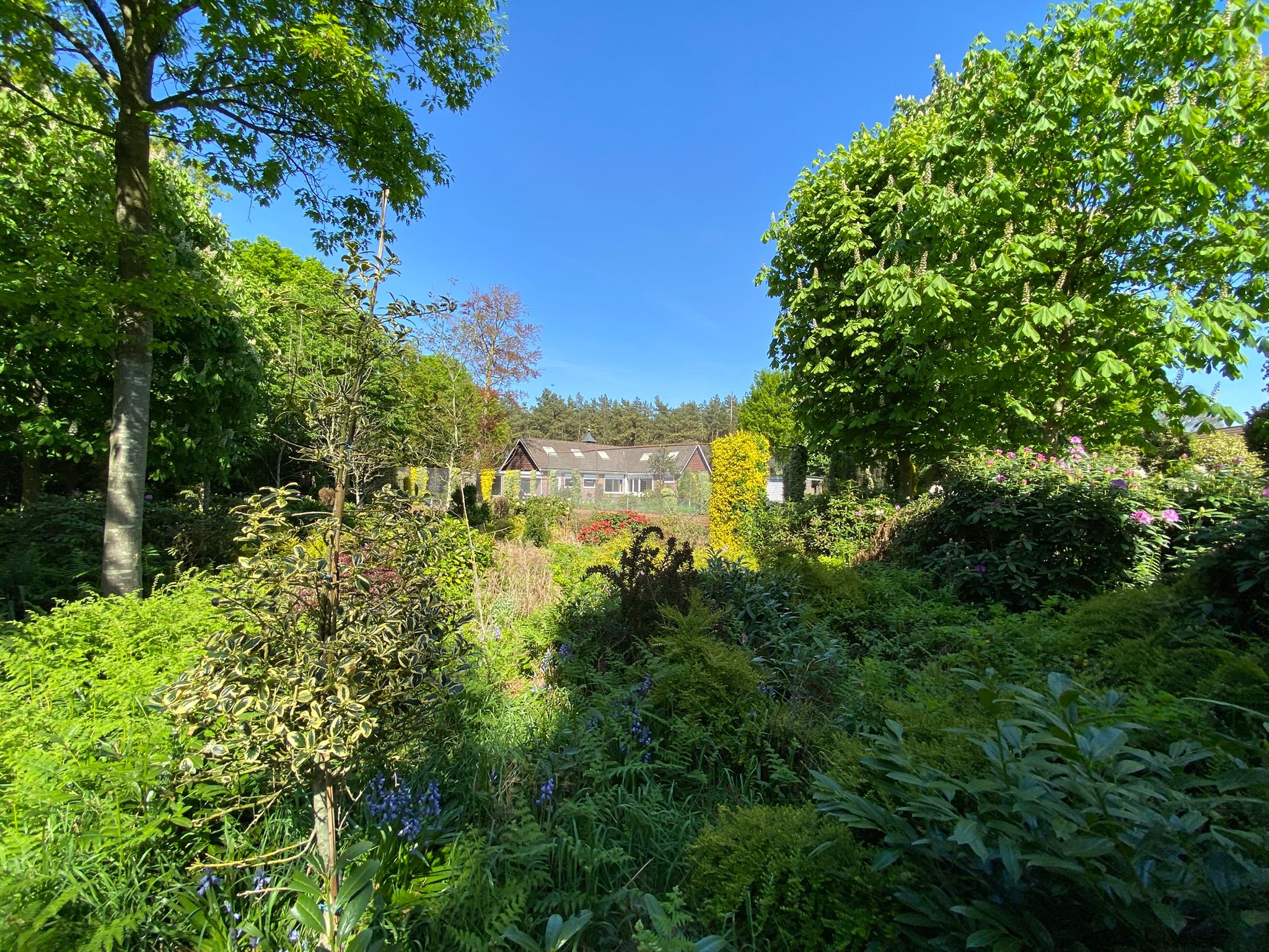 Foto 36 van Hazenputten 17