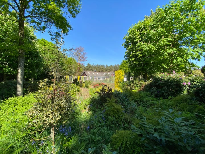 Photo 36 of Hazenputten 17