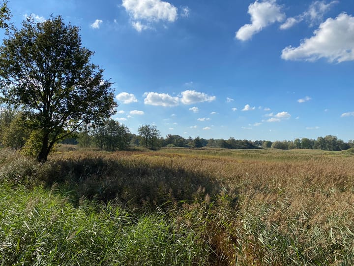 Photo 37 of Hazenputten 17