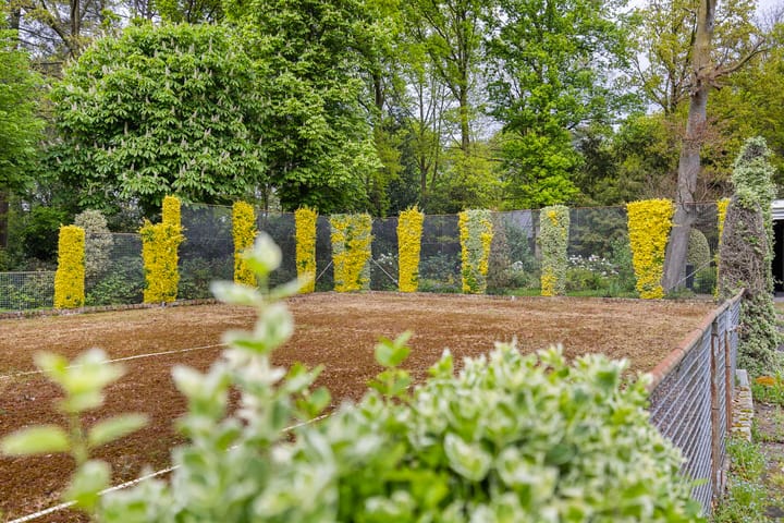 Photo 38 of Hazenputten 17