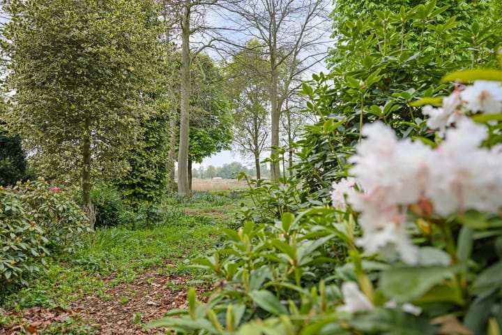 Photo 39 of Hazenputten 17