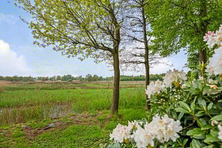 Photo 40 of Hazenputten 17