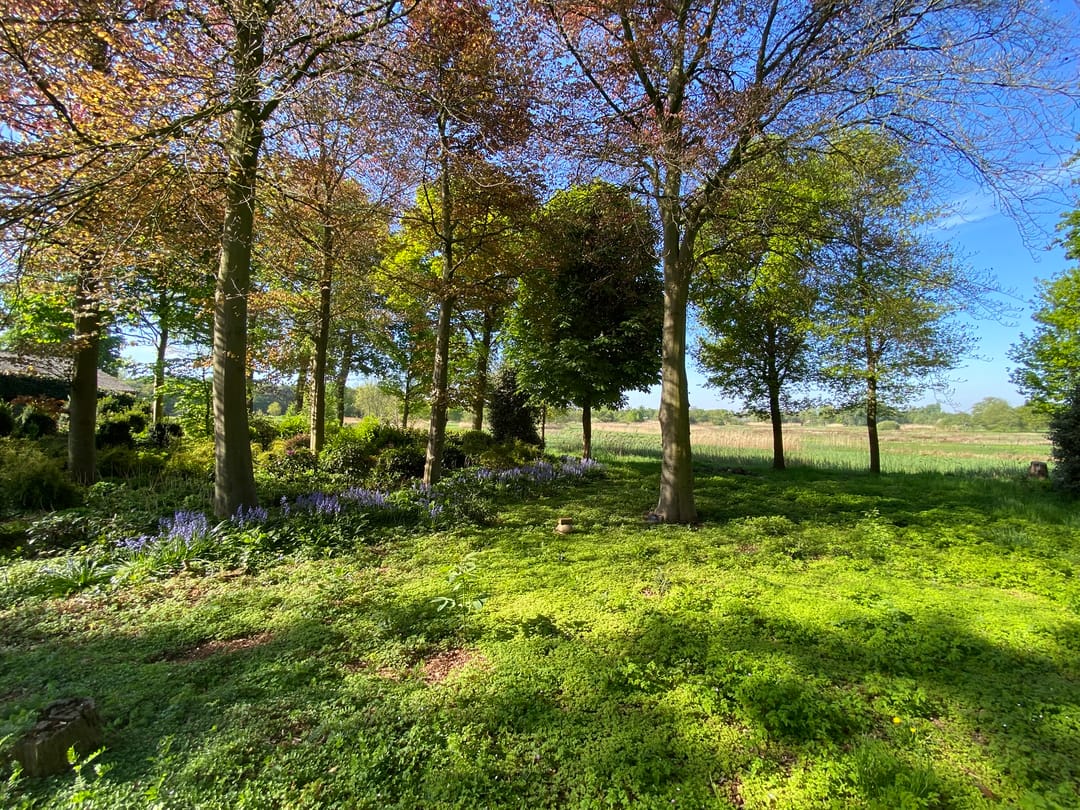 Foto 41 van Hazenputten 17