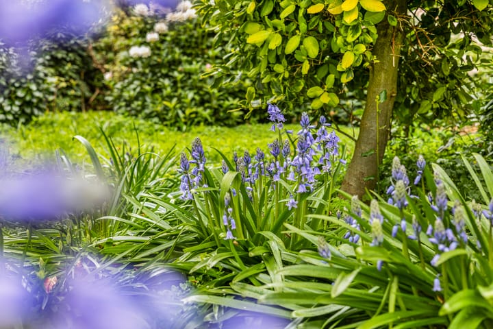 Photo 43 of Hazenputten 17