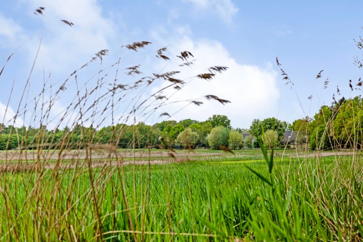 Photo 42 of Hazenputten 17