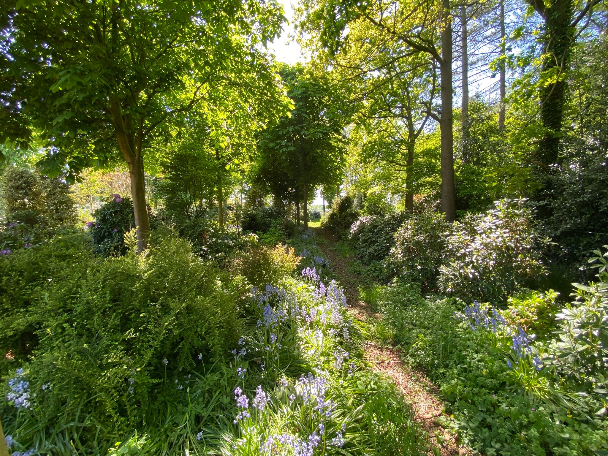 Foto 45 van Hazenputten 17