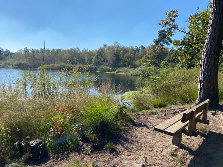 Photo 47 of Hazenputten 17