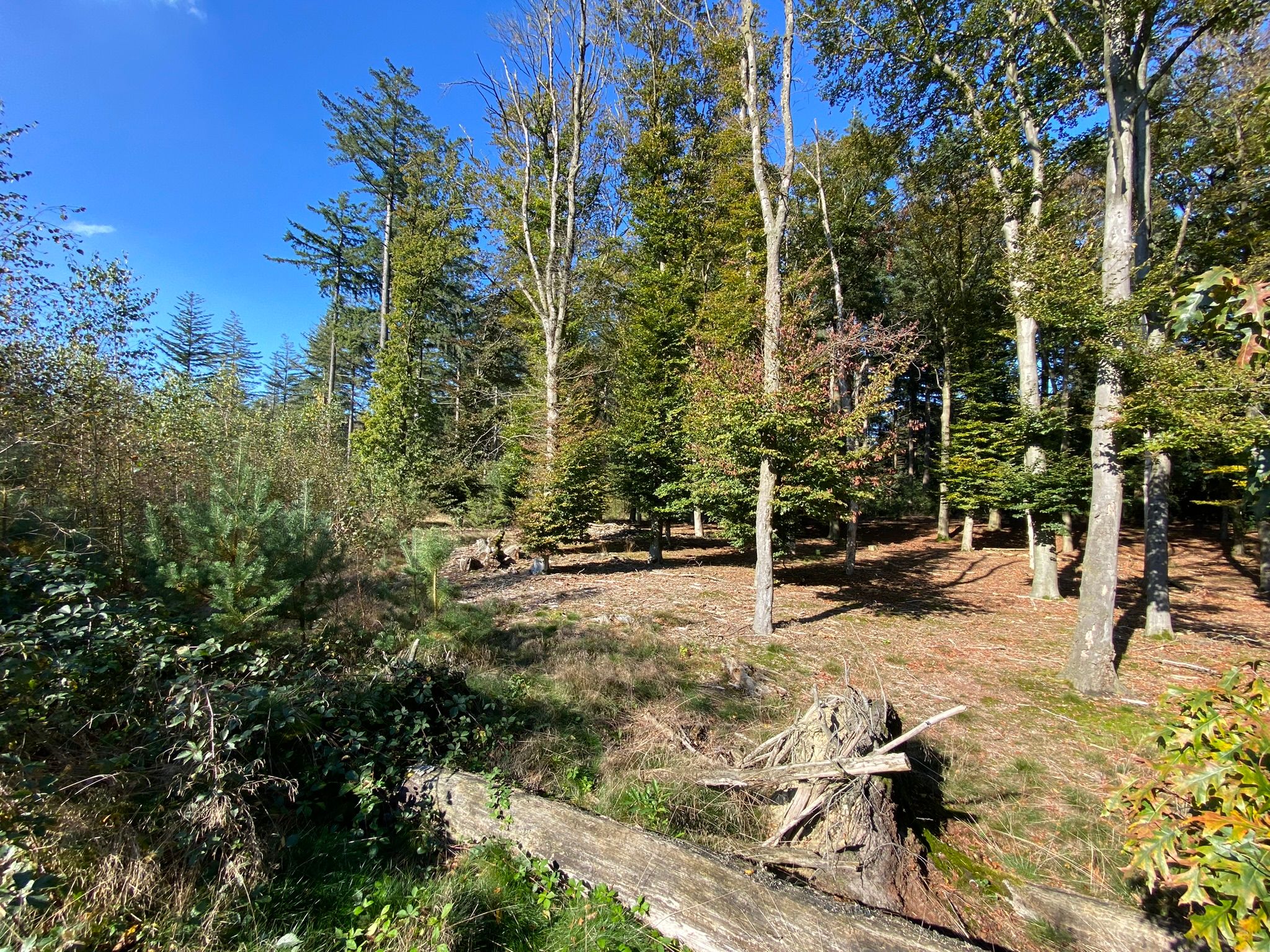 Foto 48 van Hazenputten 17