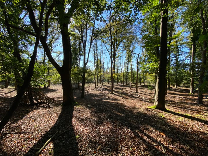 Photo 49 of Hazenputten 17