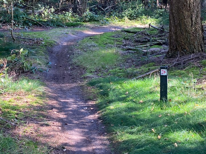 Photo 50 of Hazenputten 17