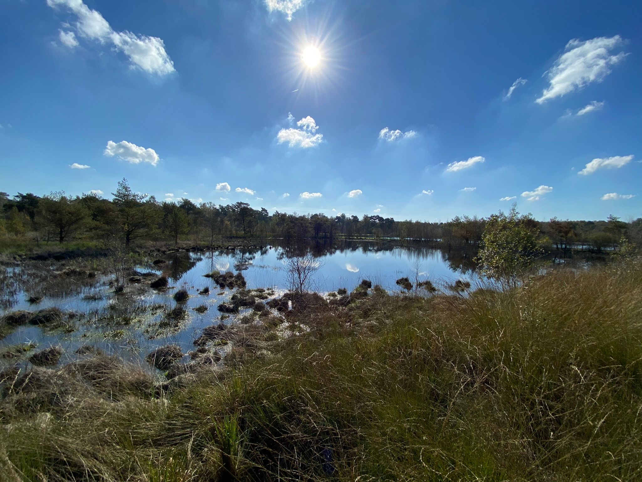 Foto 51 van Hazenputten 17