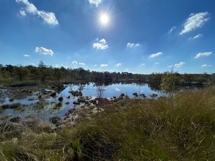 Photo 51 of Hazenputten 17