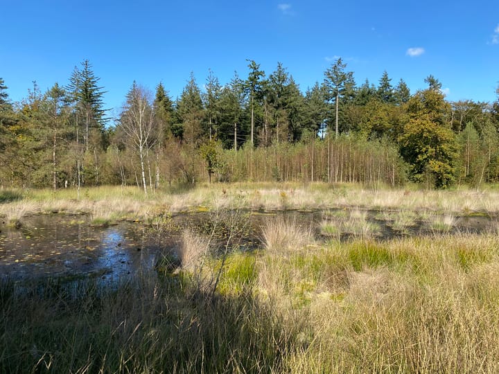 Photo 52 of Hazenputten 17