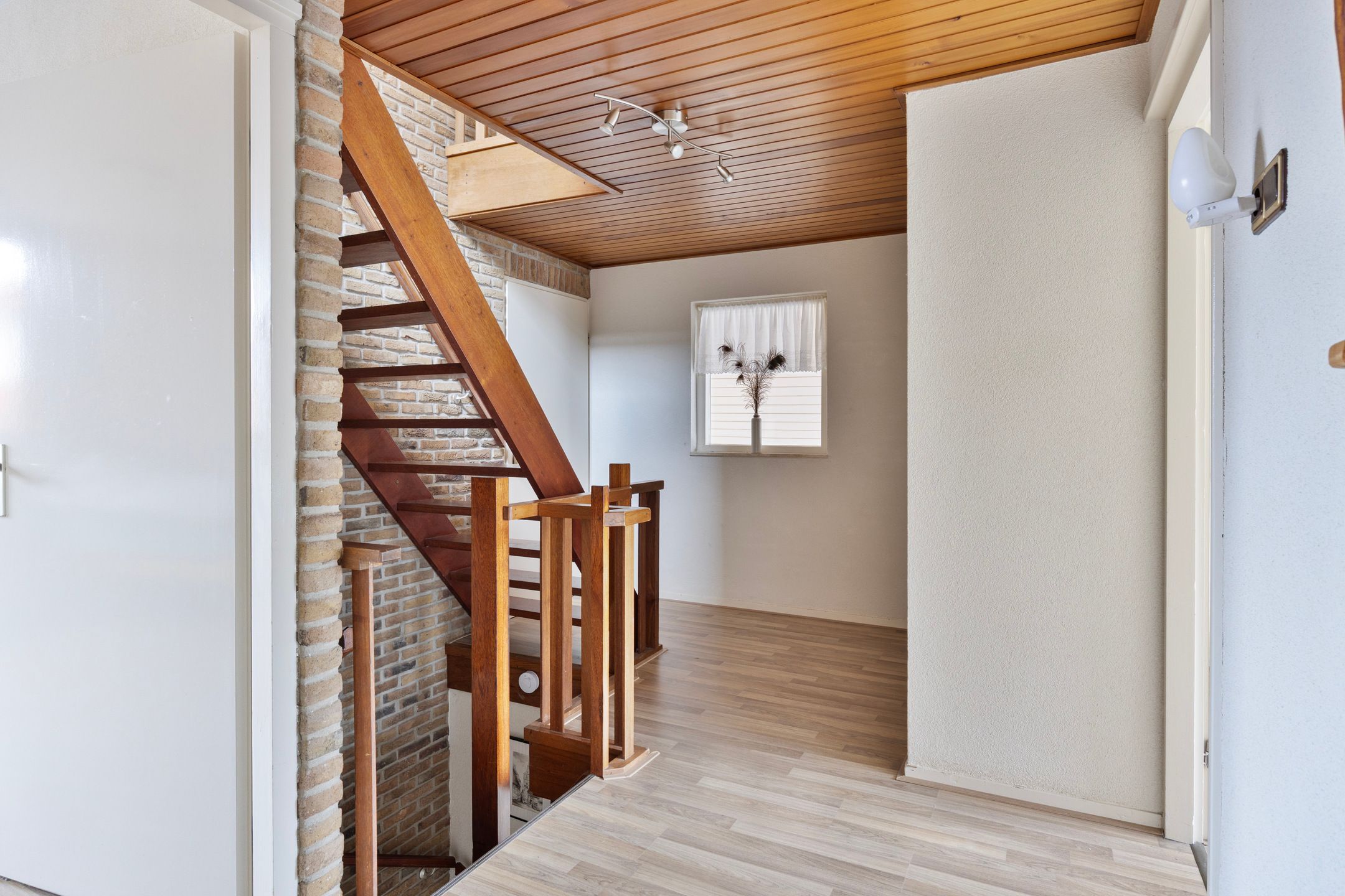 Photo 18 of Zilverschoon 1