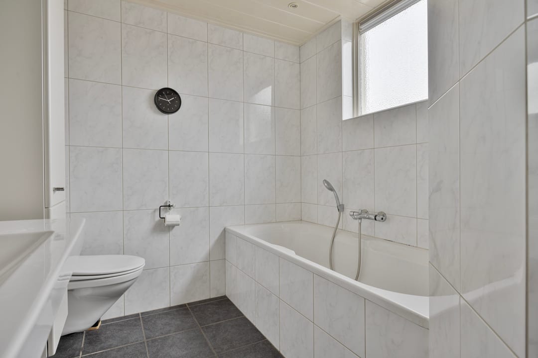 Photo 23 of Zilverschoon 1