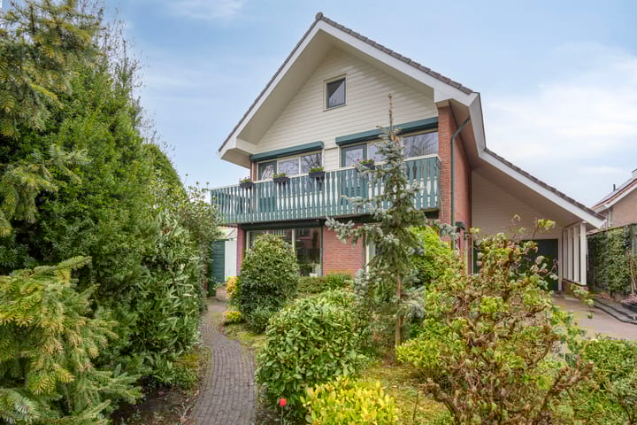 Foto 2 van Zilverschoon 1