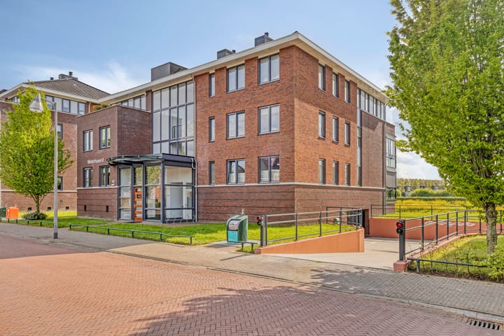 undefined main image