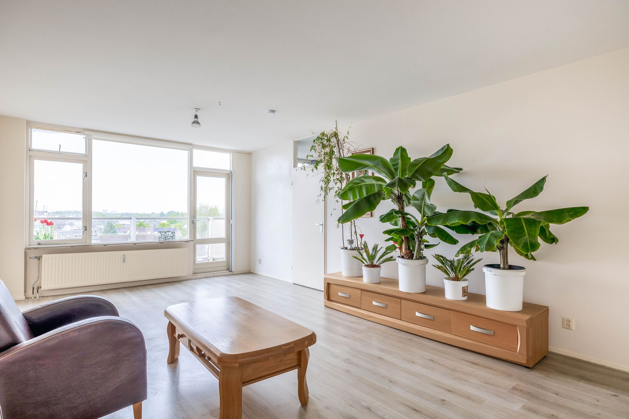 Photo 15 of Rodinrade 104