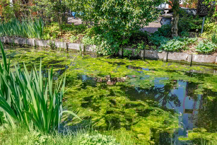 Foto 34 van Eendrachtsdijk 2-A