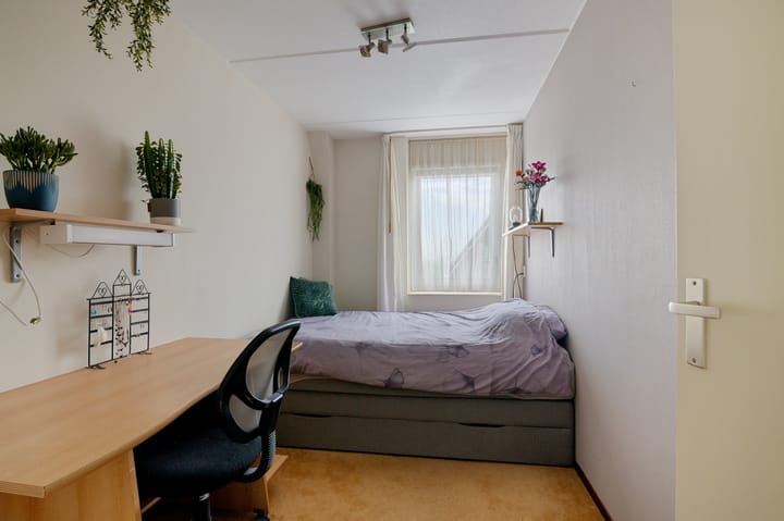 Photo 30 of de Finne 2