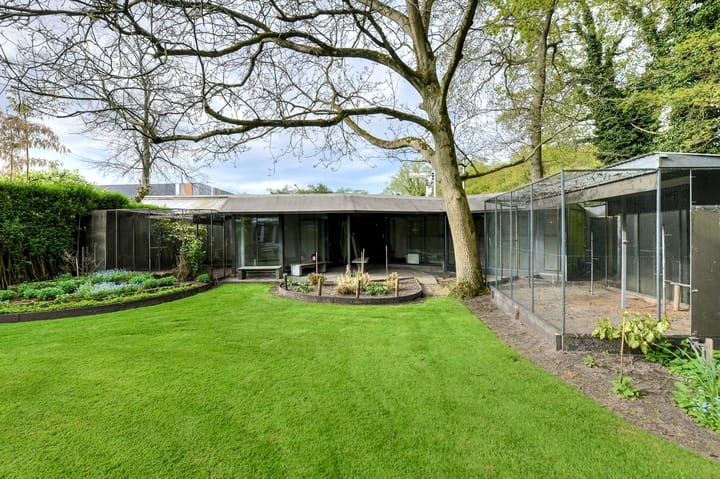 Foto 20 van Schellingstraat 16