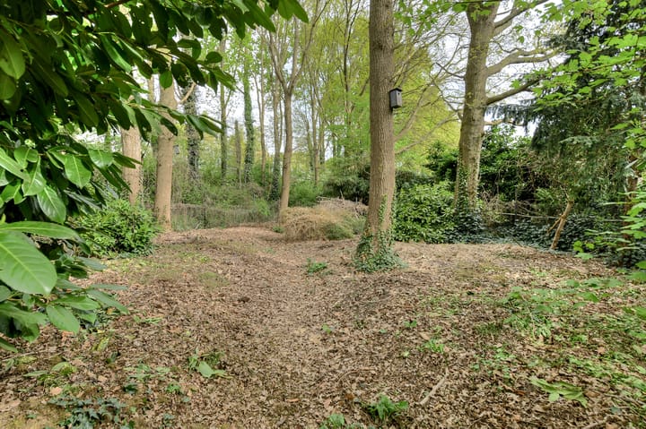 Foto 25 van Schellingstraat 16