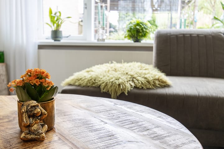 Photo 22 of Burgemeester van Rijswijkstraat 16