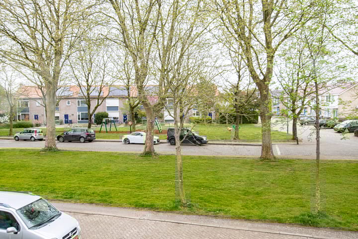 Photo 42 of Burgemeester van Rijswijkstraat 16