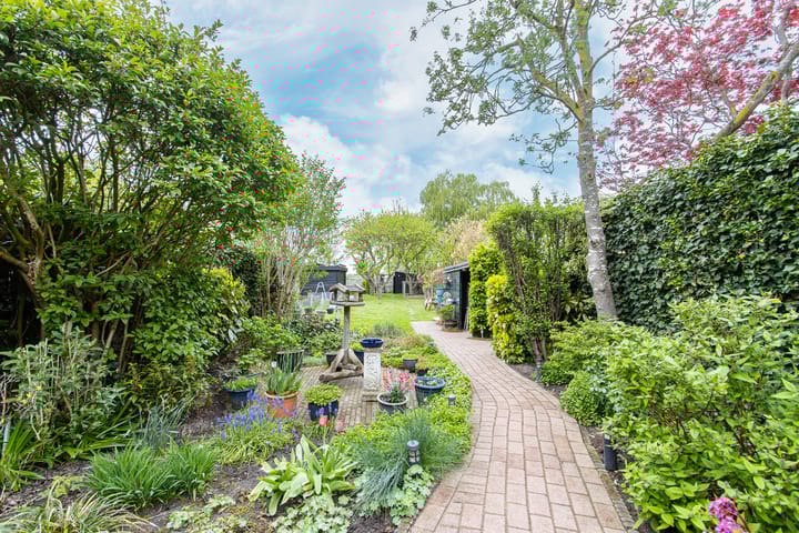 Photo 59 of Burgemeester van Rijswijkstraat 16