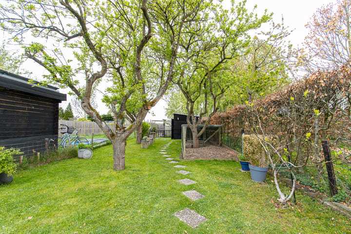 Photo 62 of Burgemeester van Rijswijkstraat 16