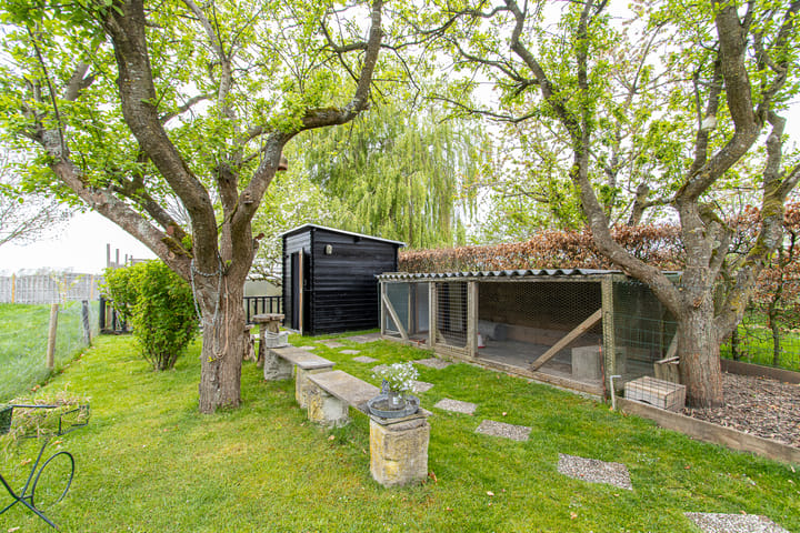 Photo 63 of Burgemeester van Rijswijkstraat 16