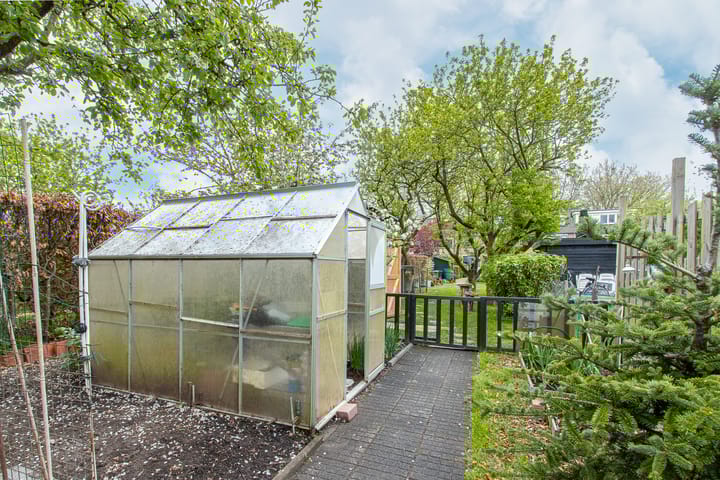 Photo 70 of Burgemeester van Rijswijkstraat 16