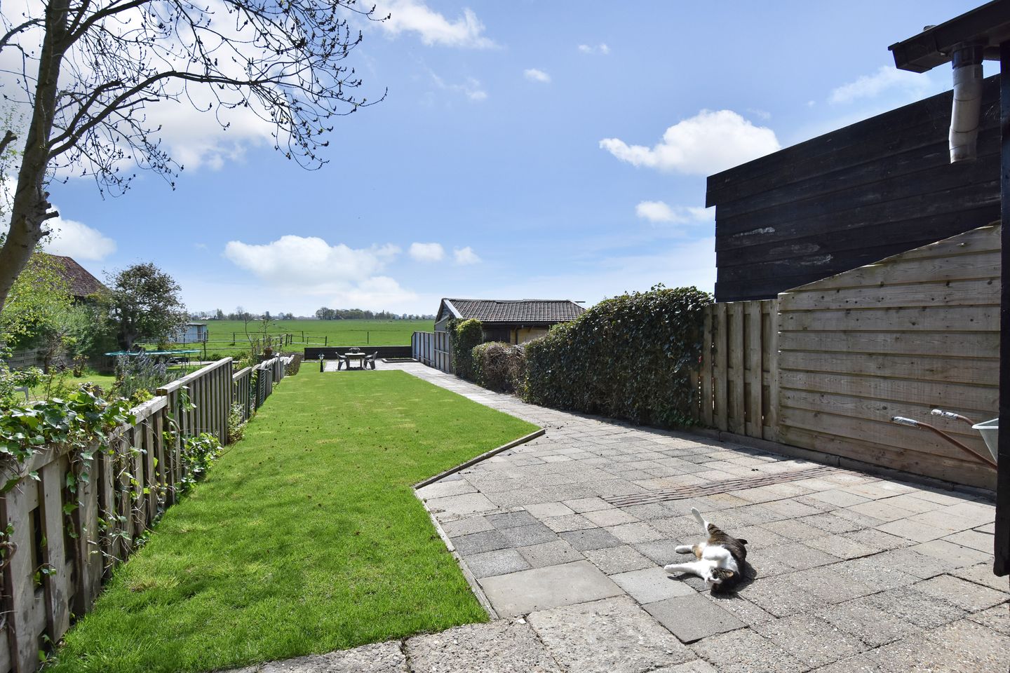 Foto 29 van Doctor van Noortstraat 48