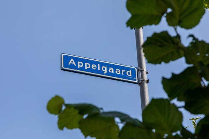 Foto 29 van Appelgaard 12