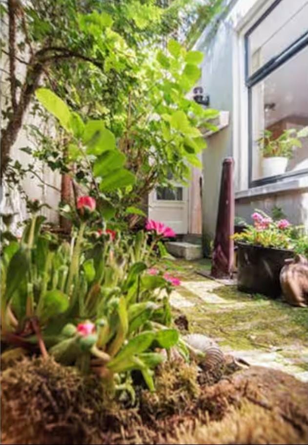 Foto 8 van Lindengracht 243-H