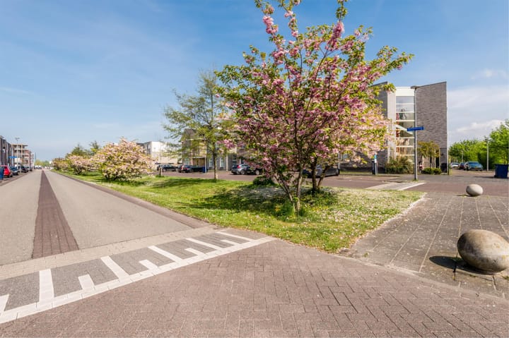 Foto 64 van Zeussingel 97