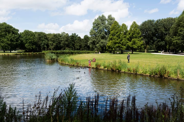 Foto 24 van Witte de Withstraat 1-X