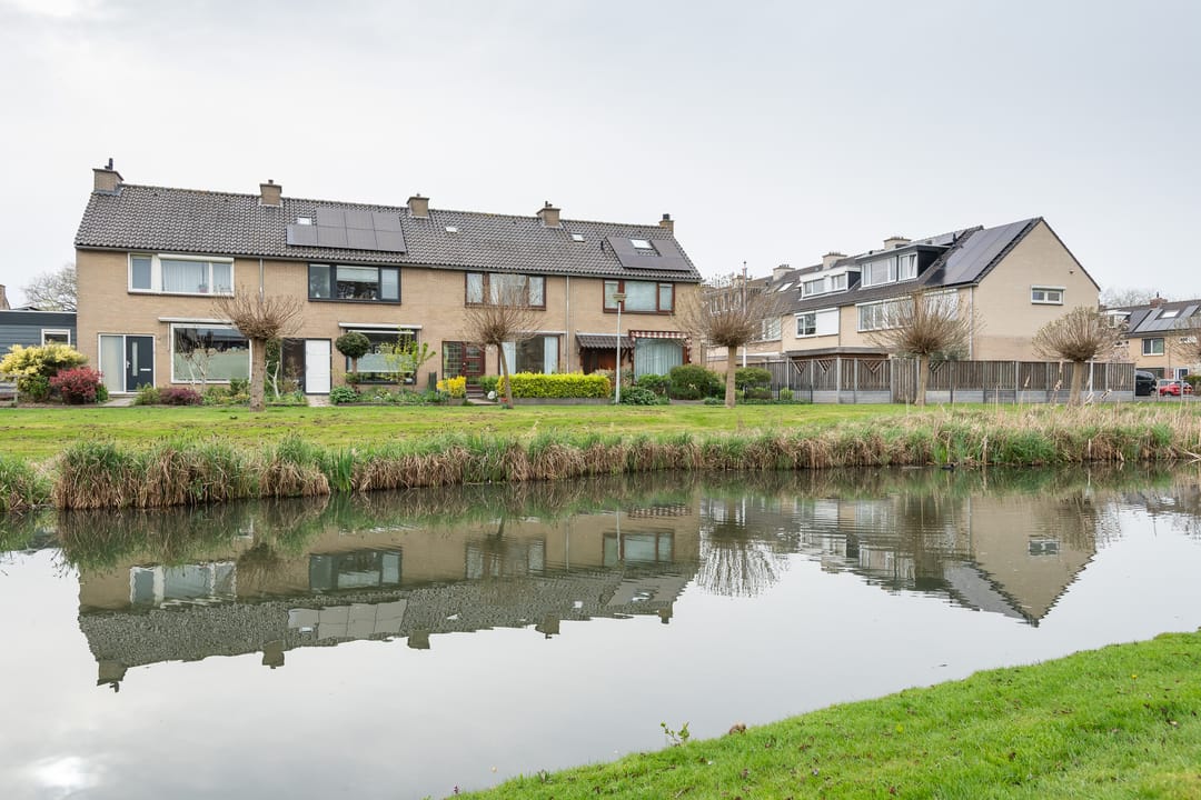 Foto 2 van Pinksterbloem 20