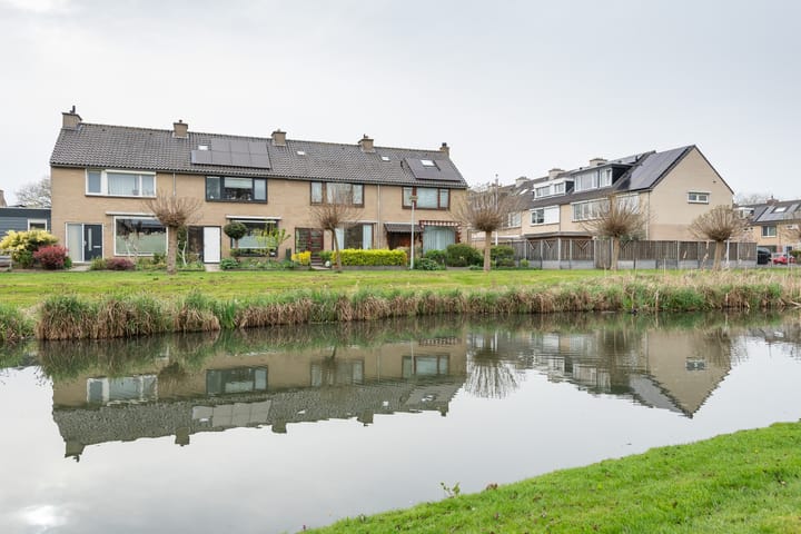 Foto 2 van Pinksterbloem 20