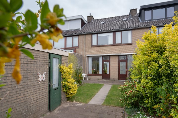 Foto 3 van Pinksterbloem 20